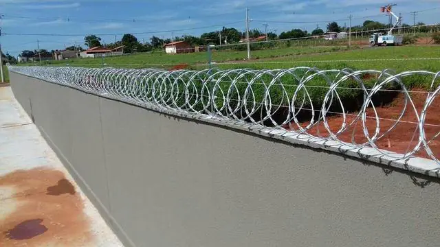 Concertina
